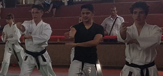 KARATE OKUDEN