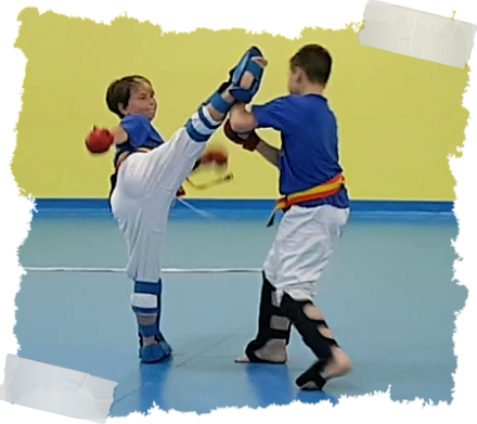 Mawashi geri