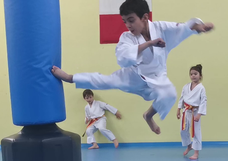 Mawashi geri